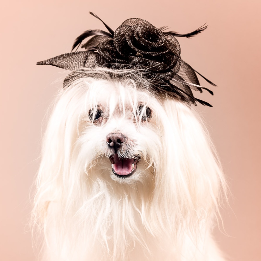 Welcome to Popcorn's Closet!